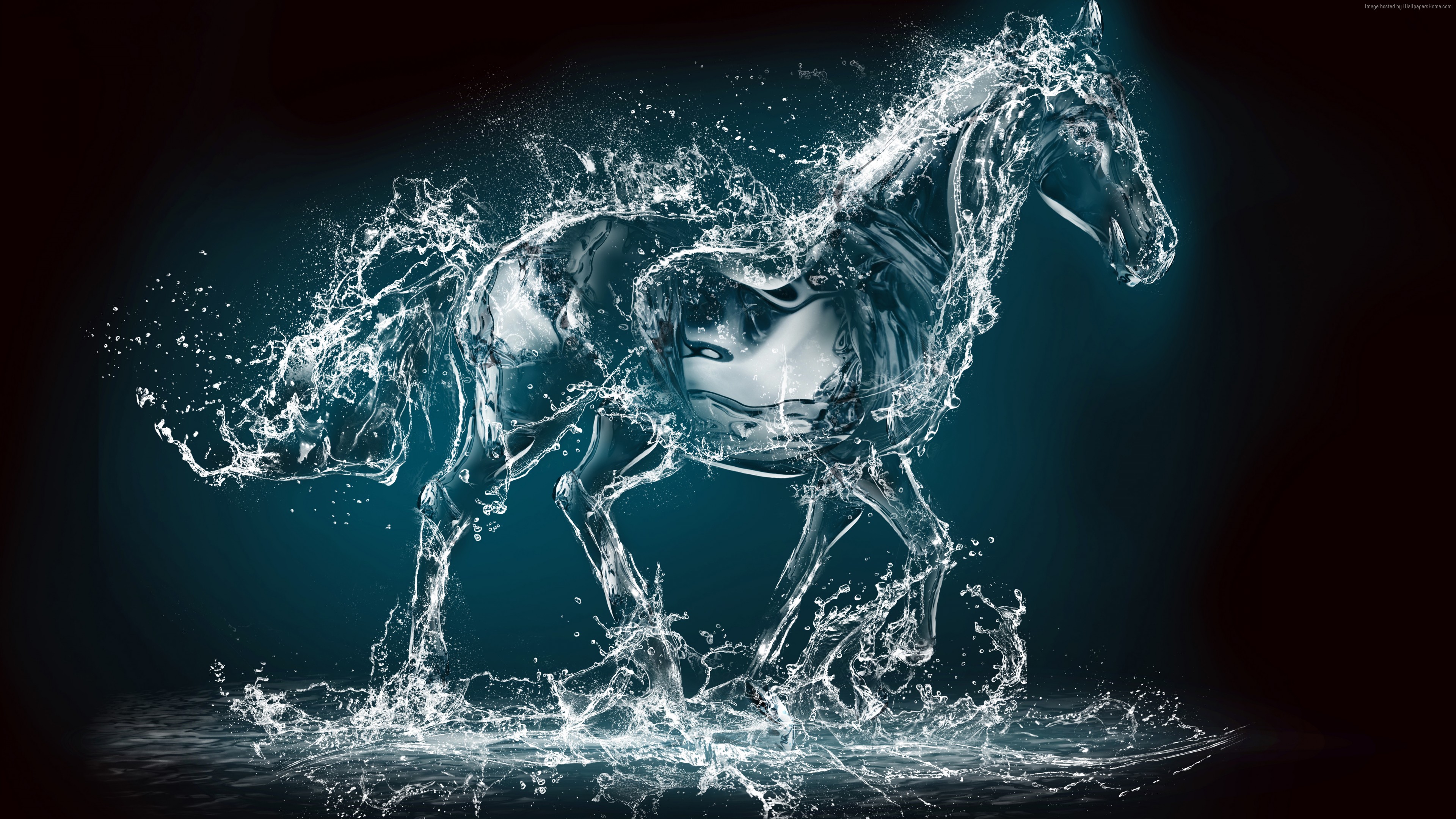 Wallpaper Horse, water, transparent, 10K, Art